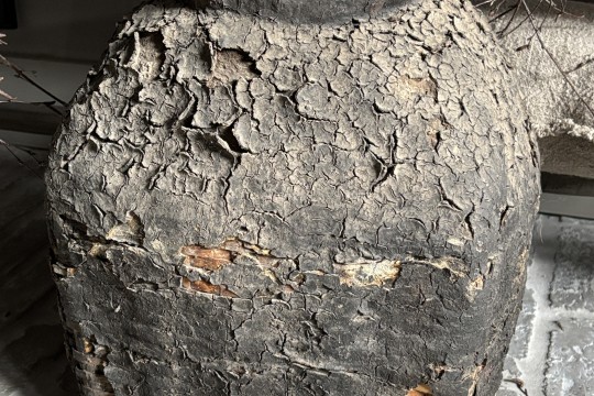 Leemmand met deksel NR 1